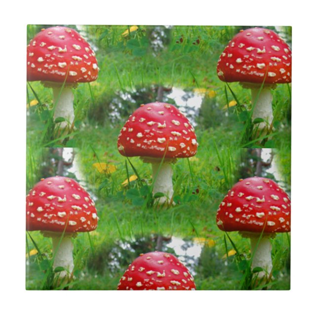 Fly Agaric Mushrooms Ceramic Tile (Front)