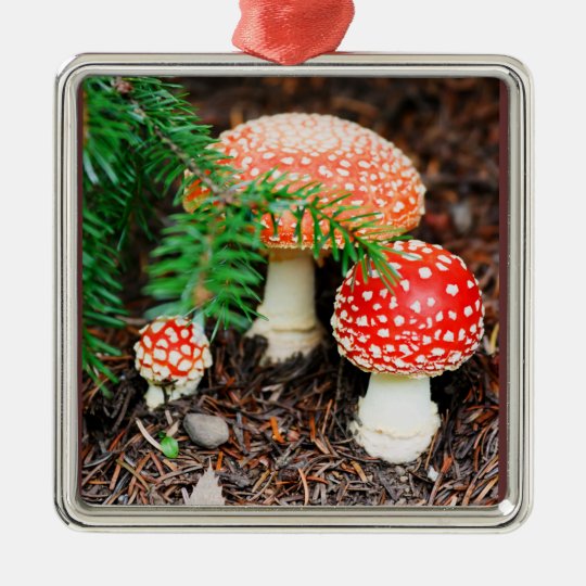 Fly Agaric Mushrooms Ornament