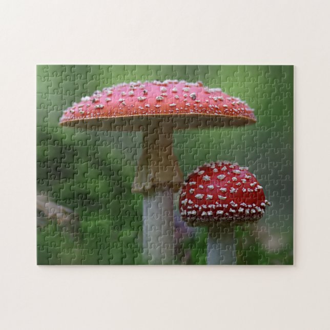 Fly Agaric Red Mushrooms Photo Puzzle (Horizontal)