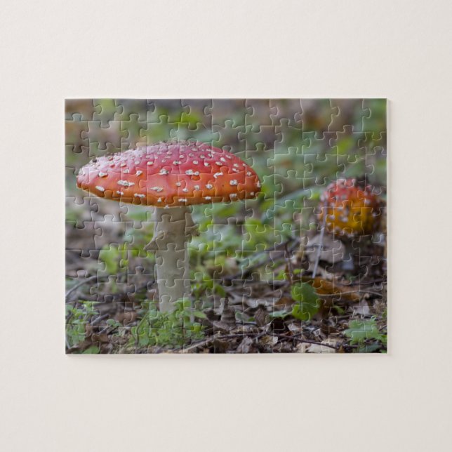 Fly Agaric Toadstool Jigsaw Puzzle (Horizontal)