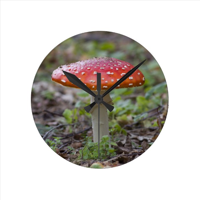 Fly Agaric Toadstool Round Clock