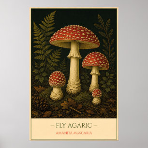 Fly Agaric – Vintage Botanical Illustration Poster