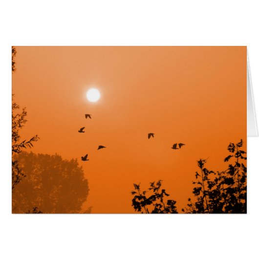 Fly at dawn Card (Front Horizontal)