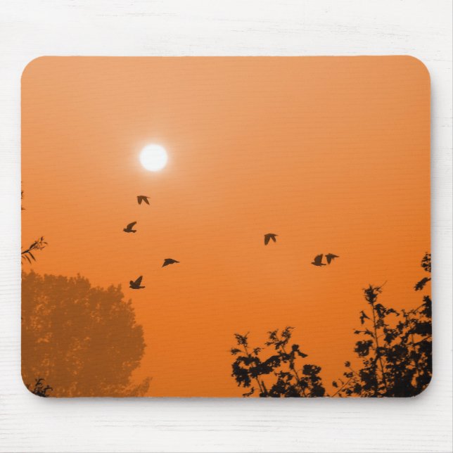 Fly at dawn Mousepad (Front)