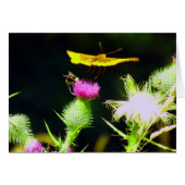 Fly Away (Front Horizontal)