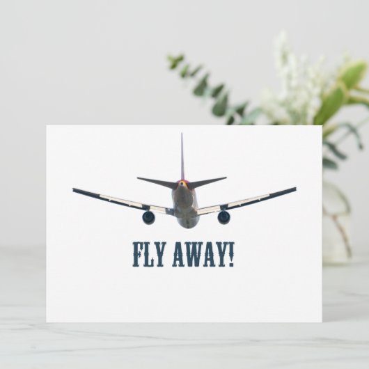 Fly away airplane (Standing Front)