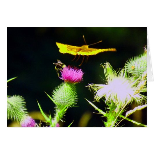 Fly Away Cards (Front Horizontal)