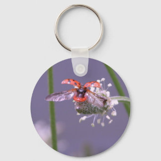 Fly away home keychain