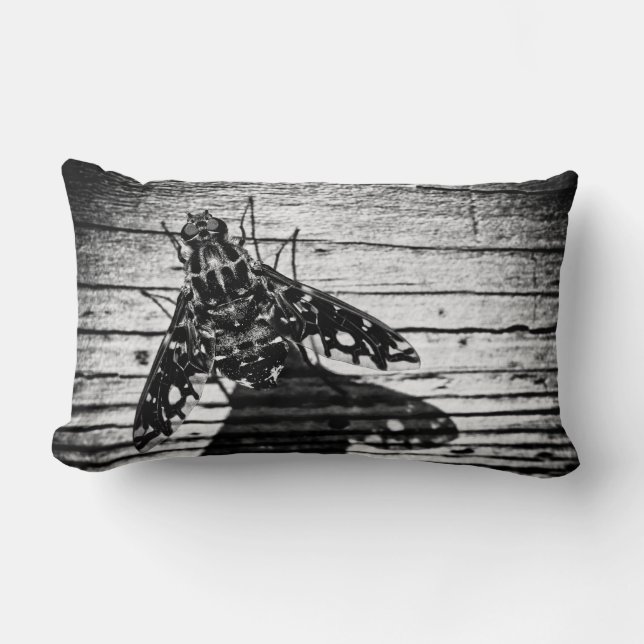 fly back lumbar pillow (Front)