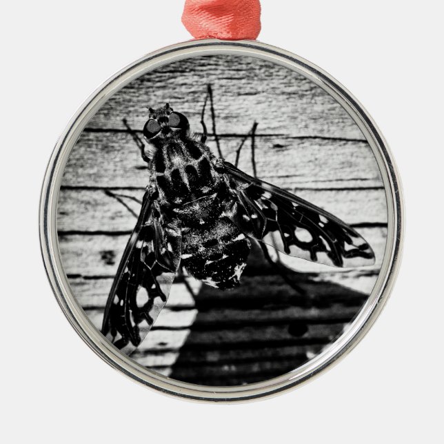 fly back metal ornament (Front)