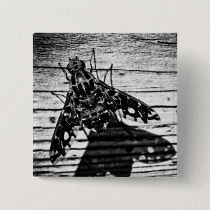 fly back pinback button