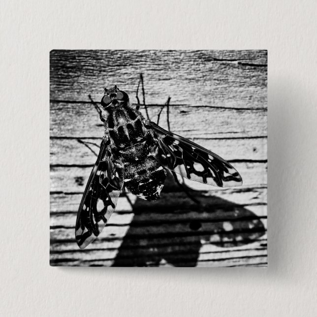 fly back pinback button (Front)