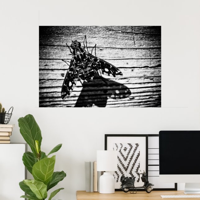 fly back poster (Home Office)