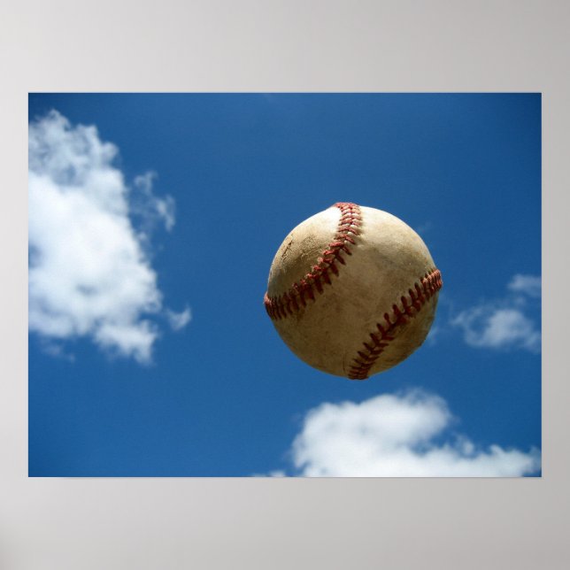 Fly Ball Poster (Front)