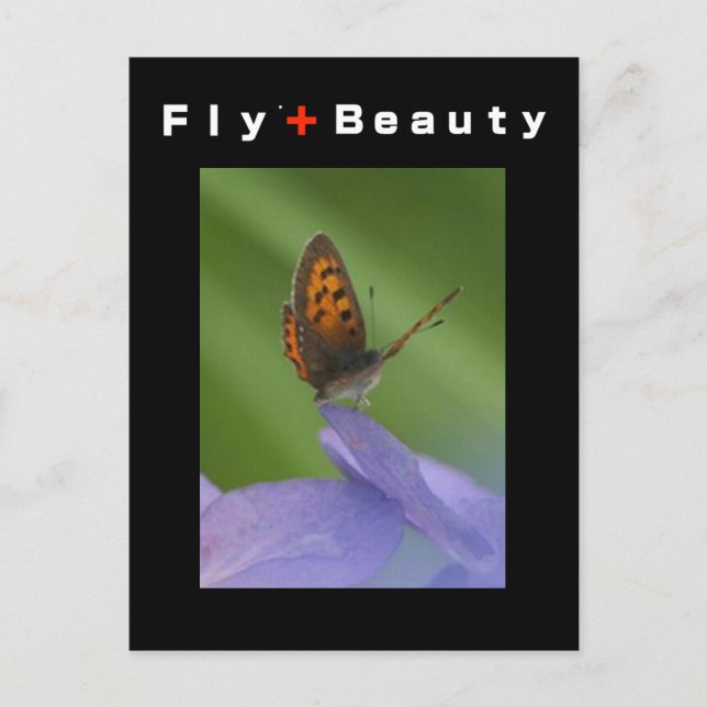 FLY ＋　Beauty Postcard (Front)