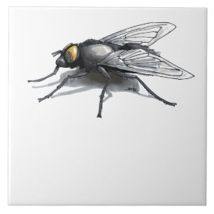Fly Buddy giant fly large tile
