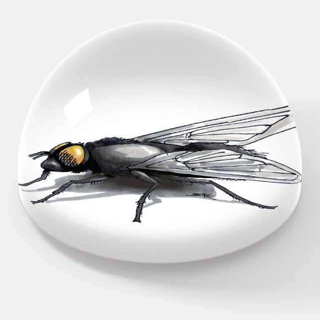Fly Buddy glass dome paperweight (Angled)