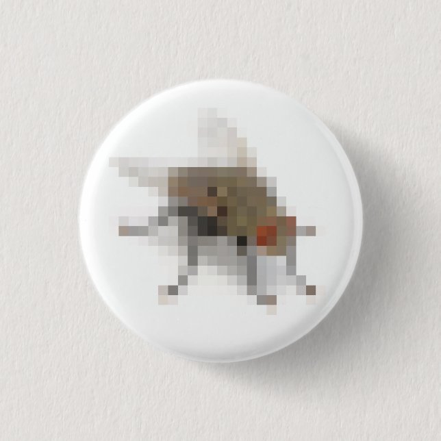 Fly. Button (Front)