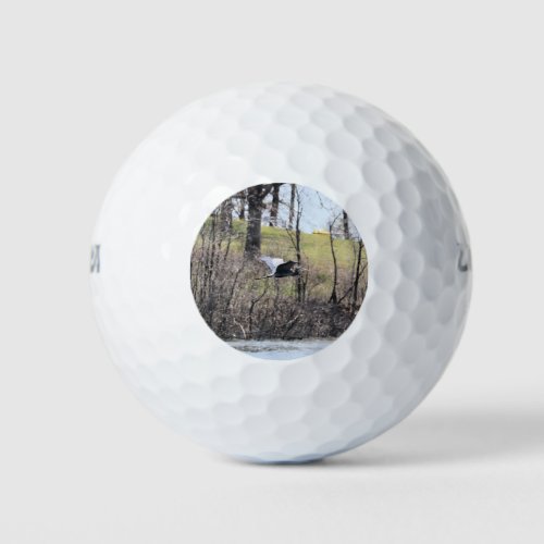 Fly by golf balls