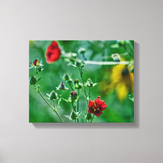 Fly-By in the Garden Canvas Print