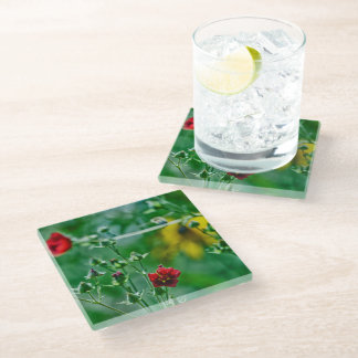 Fly-By in the Garden Glass Coaster