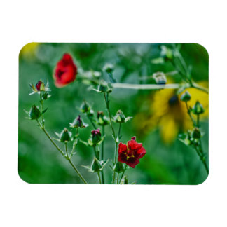 Fly-By in the Garden Magnet