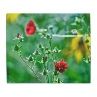 Fly-By in the Garden Metal Print