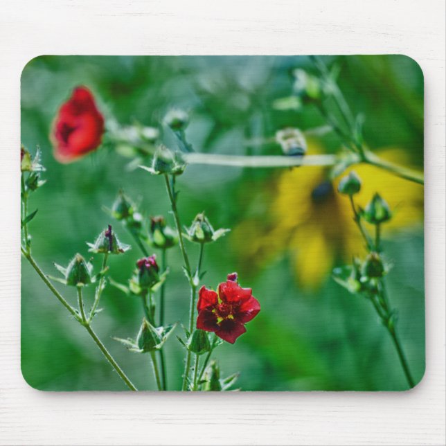 Fly-By in the Garden Mouse Pad (Front)