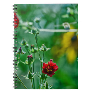 Fly-By in the Garden Notebook