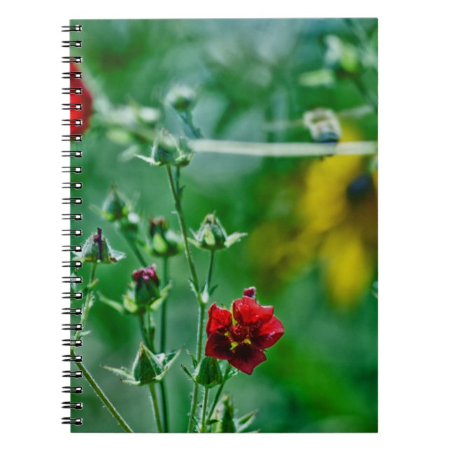 Fly-By in the Garden Notebook (Front)