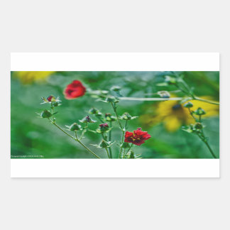 Fly-By in the Garden Rectangular Sticker
