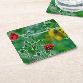 Fly-By in the Garden Square Paper Coaster
