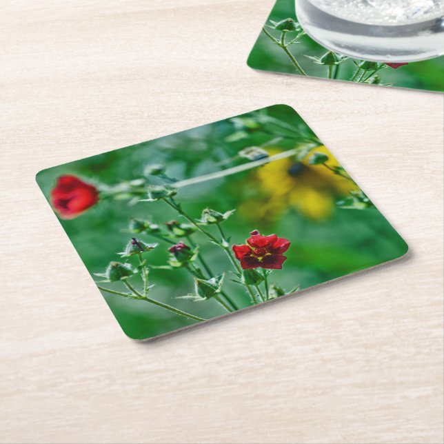 Fly-By in the Garden Square Paper Coaster (Angled)