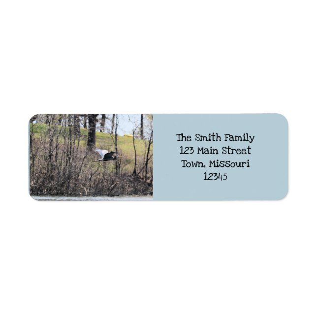 Fly by  label (Front)