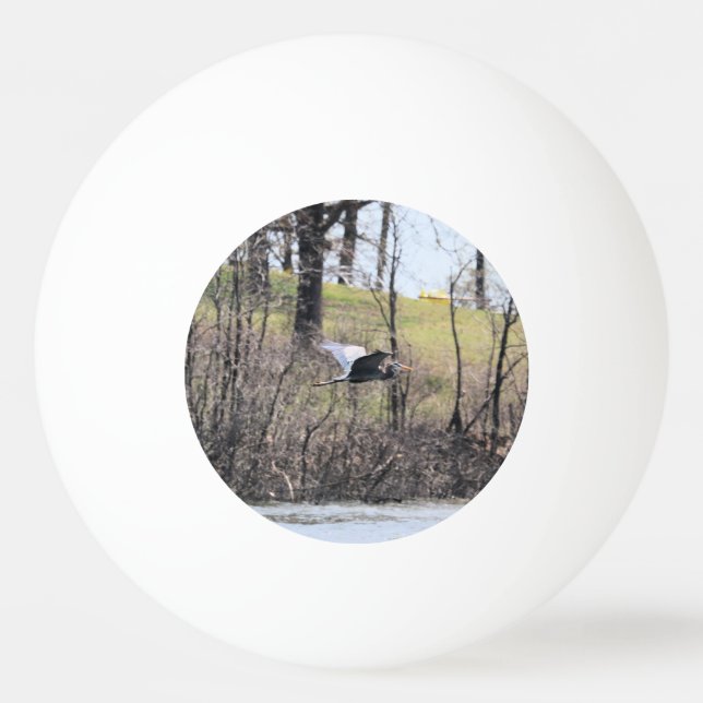 Fly by  ping pong ball (Front)