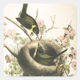 FLY CATCHER BIRD AND NEST SQUARE STICKER