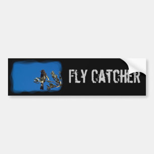 Fly Catcher Bumper Sticker