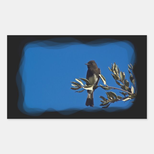 Fly Catcher Rectangular Sticker (Front)