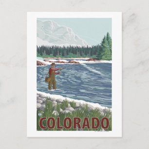 Fly FishermanColorado Postcard
