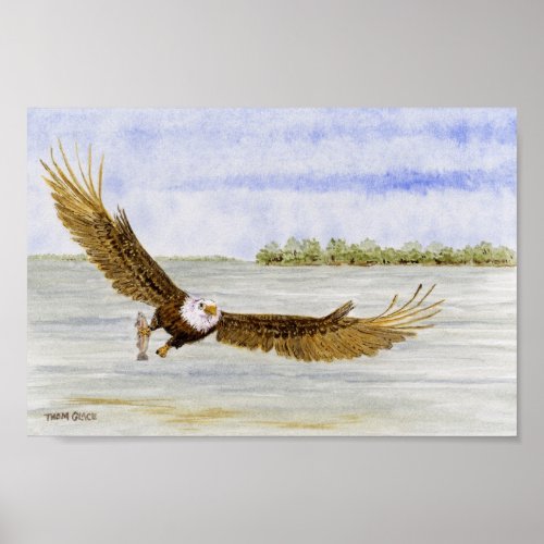 Fly Fishin_ Bald Eagle Poster