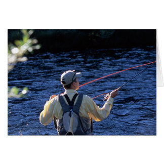 Fly Fishing Colorado Cards