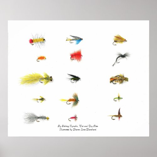 Fly Fishing Fly Fishing Nymphs Wet and Dry Fl Poster