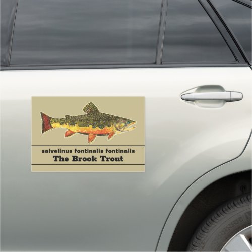 Fly Fishing for a Brookie _ Brook Trout Fisherman Car Magnet
