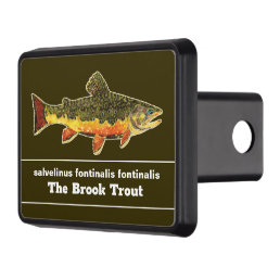 Fly Fishing for a Brookie - Brook Trout Fisherman Hitch Cover