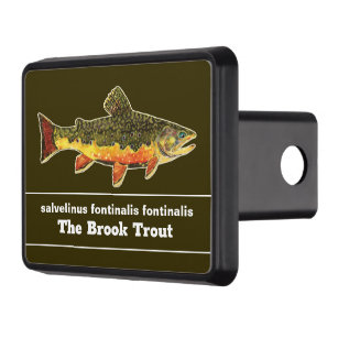 Fly Fishing for a Brookie - Brook Trout Fisherman Hitch Cover