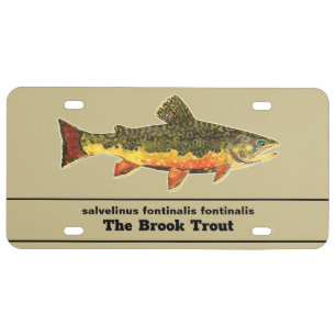 Fly Fishing for a Brookie - Brook Trout Fisherman License Plate