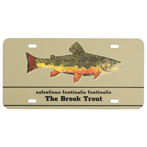 Fly Fishing for a Brookie _ Brook Trout Fisherman License Plate