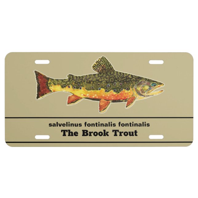 Fly Fishing for a Brookie - Brook Trout Fisherman License Plate (Front)