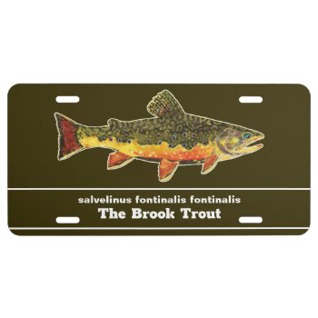 Fly Fishing For A Brookie - Brook Trout Fisherman License Plate by TroutWhiskers at Zazzle