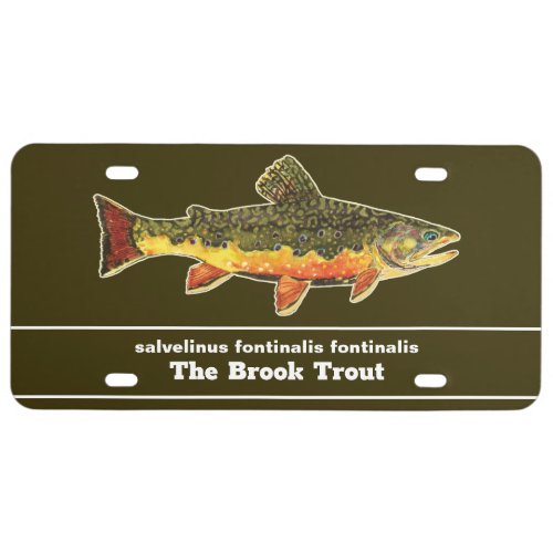Fly Fishing for a Brookie _ Brook Trout Fisherman License Plate